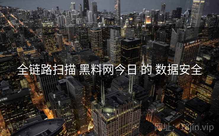全链路扫描 黑料网今日 的 数据安全