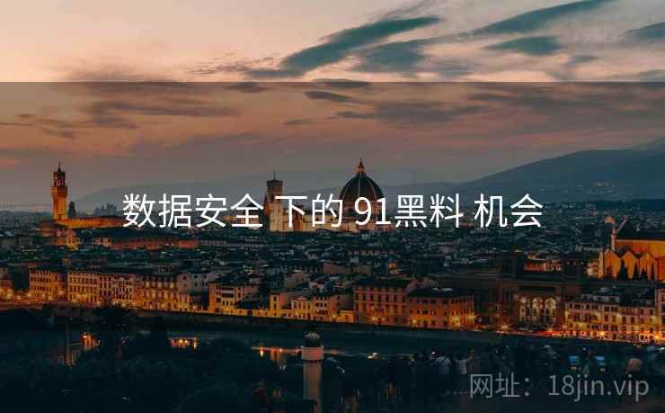 数据安全 下的 91黑料 机会