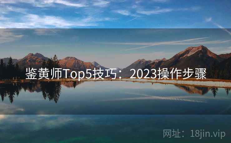 鉴黄师Top5技巧：2023操作步骤