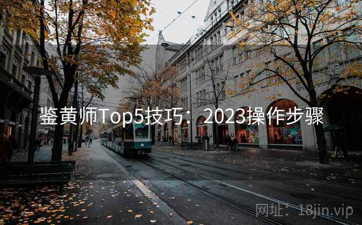 鉴黄师Top5技巧：2023操作步骤
