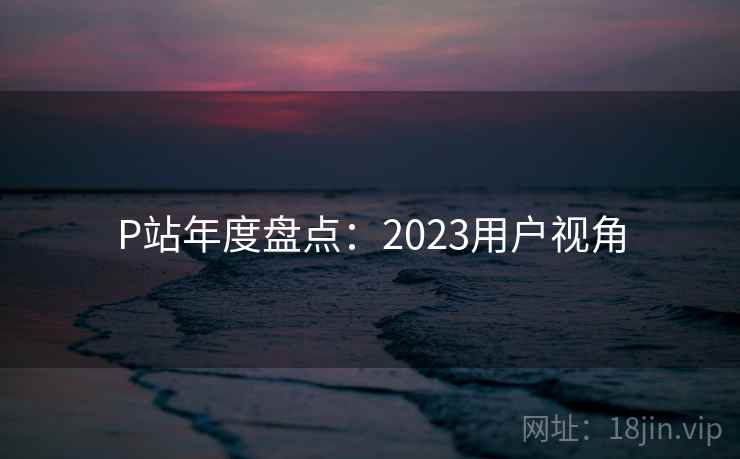 P站年度盘点：2023用户视角