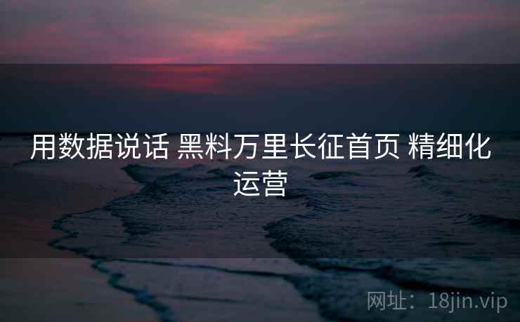 用数据说话 黑料万里长征首页 精细化运营