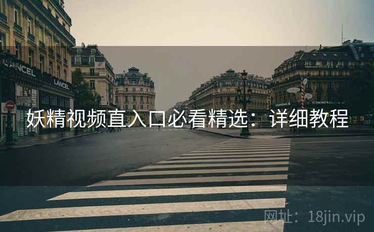 妖精视频直入口必看精选：详细教程