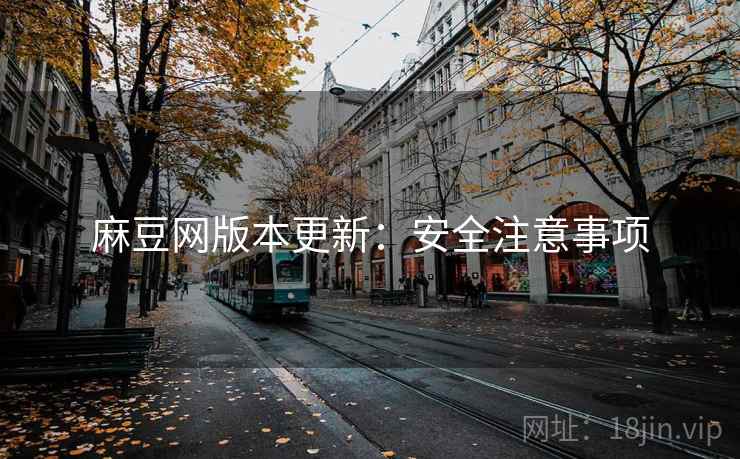 麻豆网版本更新：安全注意事项