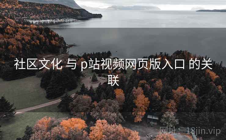 社区文化 与 p站视频网页版入口 的关联