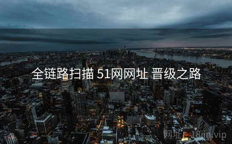 全链路扫描 51网网址 晋级之路