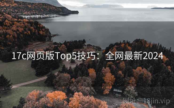 17c网页版Top5技巧：全网最新2024