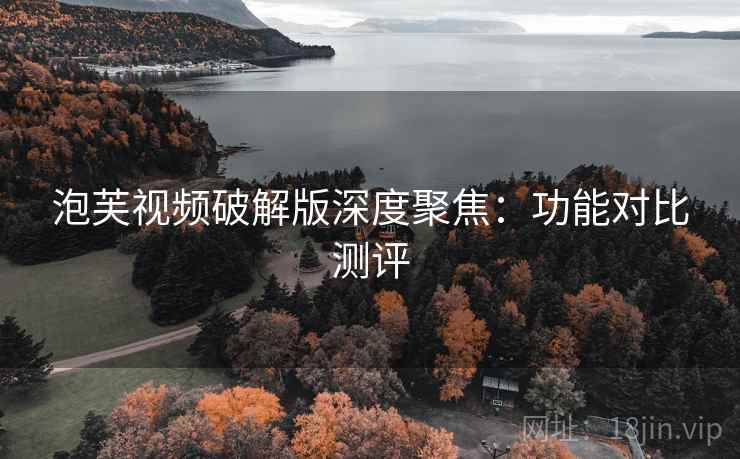泡芙视频破解版深度聚焦：功能对比测评