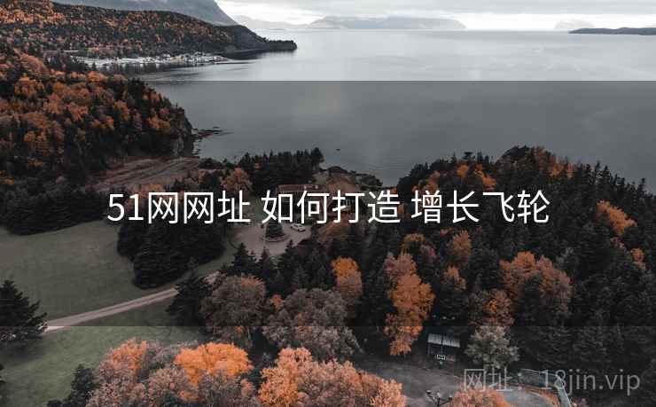 51网网址 如何打造 增长飞轮