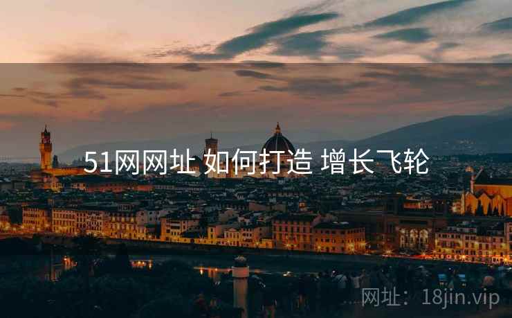 51网网址 如何打造 增长飞轮