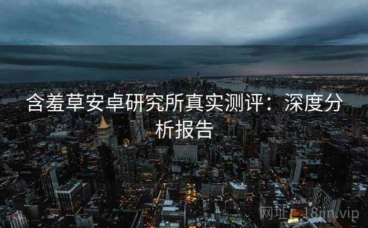 含羞草安卓研究所真实测评：深度分析报告
