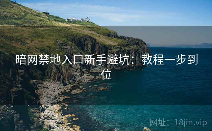 暗网禁地入口新手避坑：教程一步到位