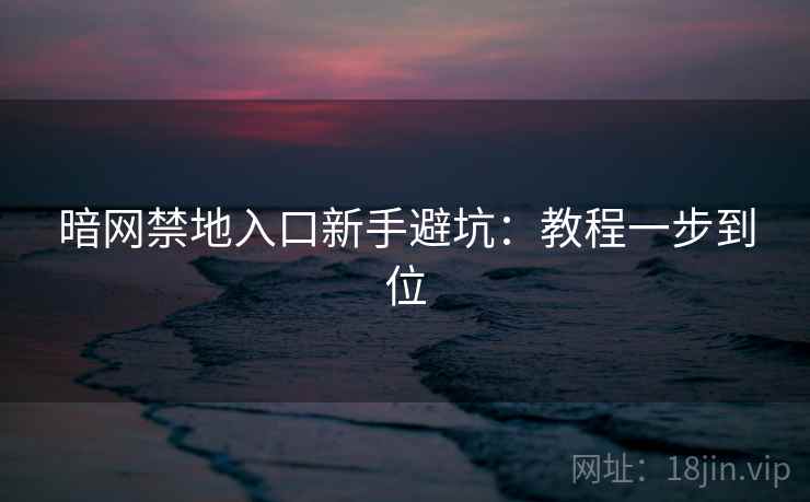 暗网禁地入口新手避坑：教程一步到位