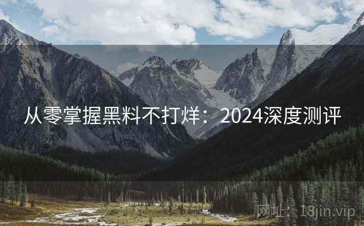 从零掌握黑料不打烊：2024深度测评