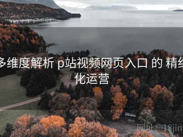 多维度解析 p站视频网页入口 的 精细化运营