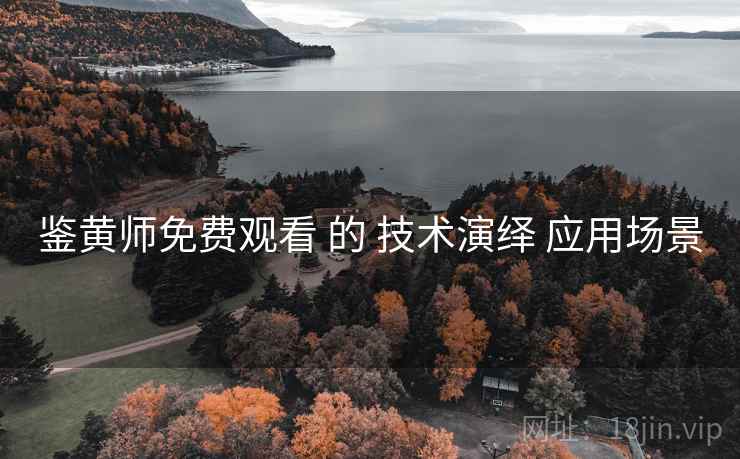 鉴黄师免费观看 的 技术演绎 应用场景