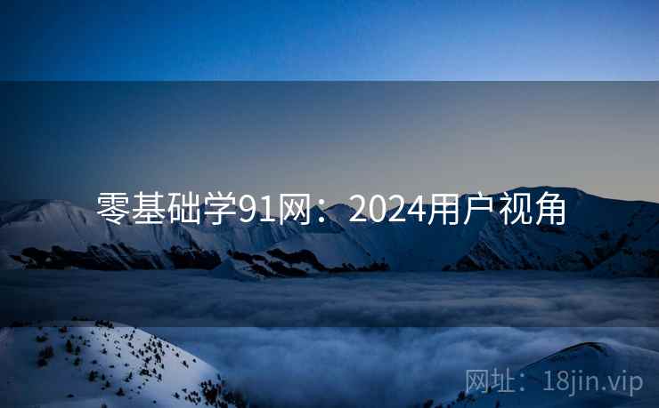 零基础学91网：2024用户视角