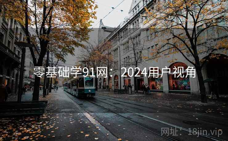 零基础学91网：2024用户视角