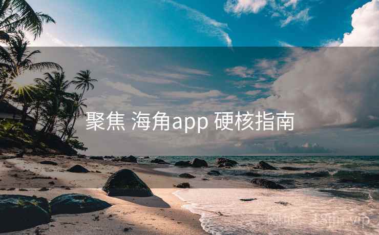 聚焦 海角app 硬核指南