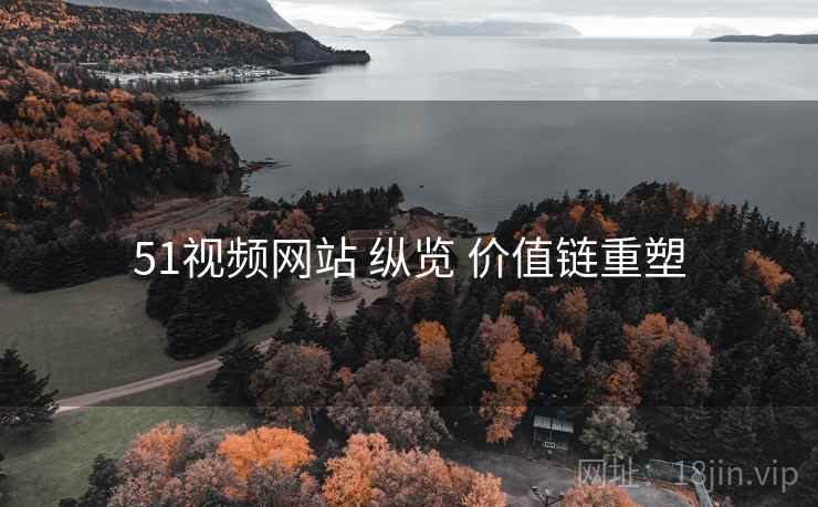 51视频网站 纵览 价值链重塑
