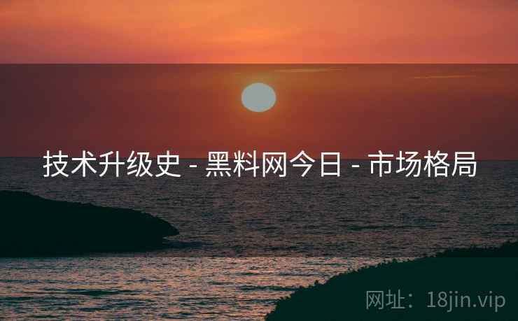 技术升级史 - 黑料网今日 - 市场格局