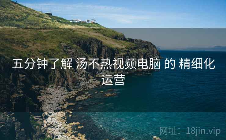 五分钟了解 汤不热视频电脑 的 精细化运营