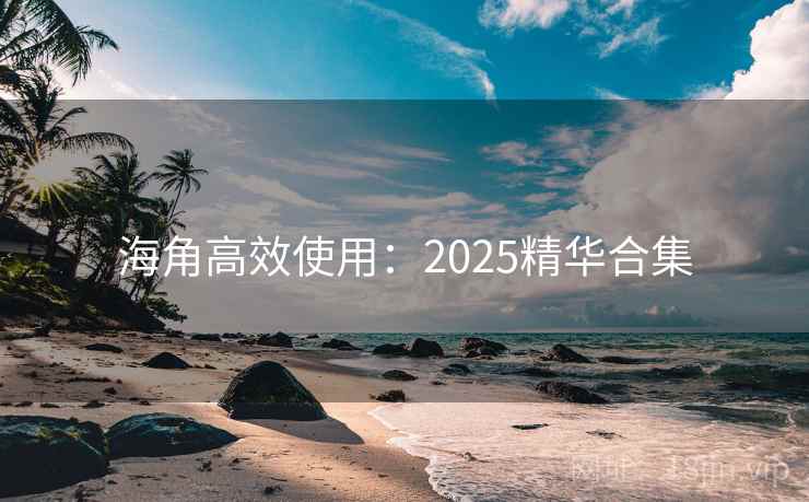 海角高效使用：2025精华合集