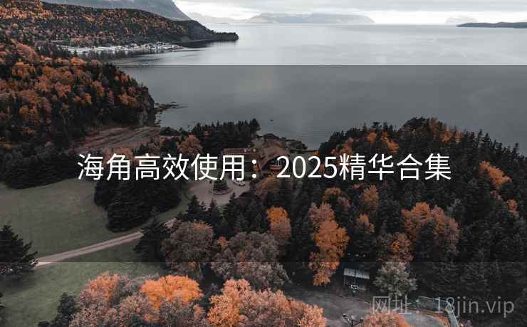 海角高效使用：2025精华合集