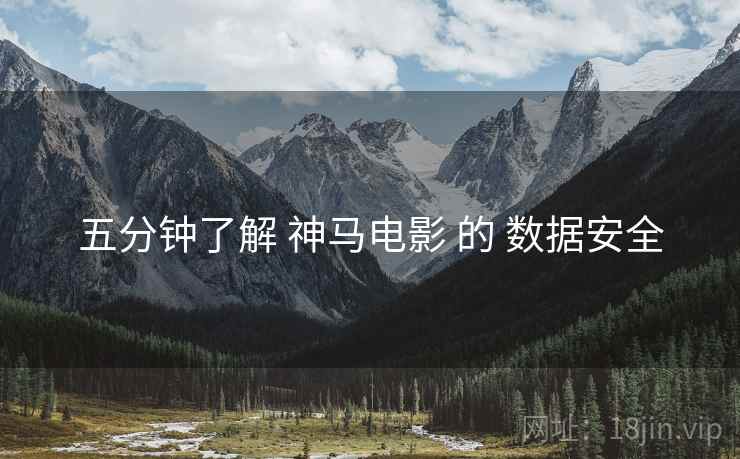 五分钟了解 神马电影 的 数据安全