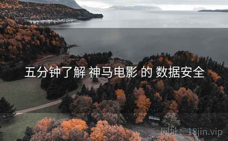 五分钟了解 神马电影 的 数据安全