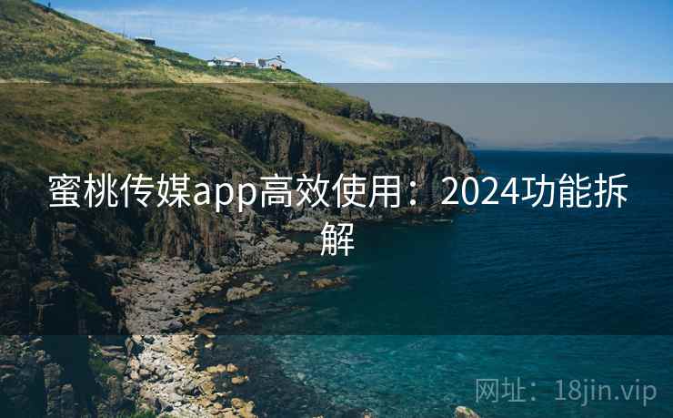 蜜桃传媒app高效使用：2024功能拆解