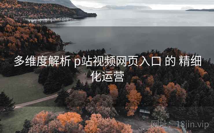 多维度解析 p站视频网页入口 的 精细化运营