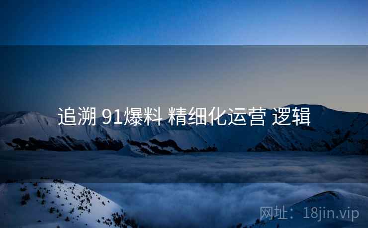 追溯 91爆料 精细化运营 逻辑